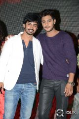 Bunny N Cherry Movie Audio Launch